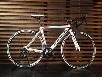 orca bronze