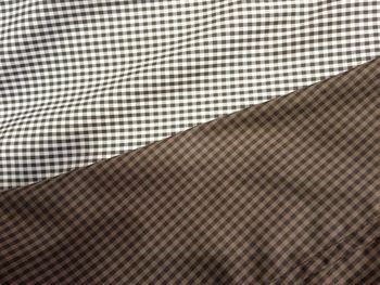 IMG_7071 IMG_7071