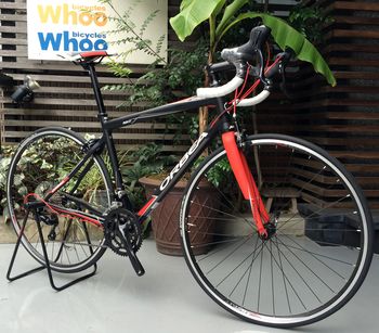 whoo☆NEWS: ORBEA